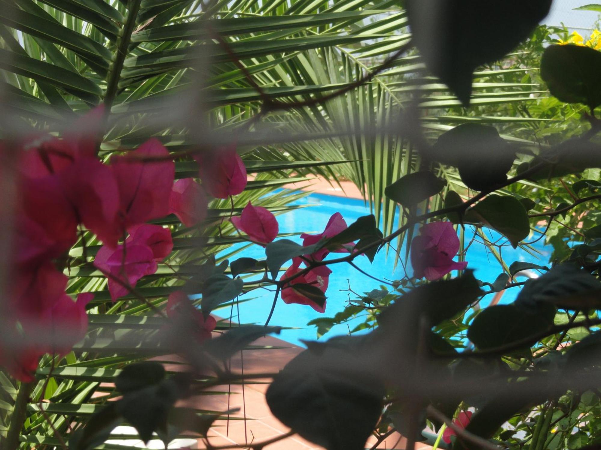 Villa Amodeo ปาเชโค ภายนอก รูปภาพ